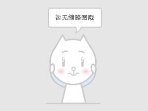 襯氟氣動V型調節(jié)球閥